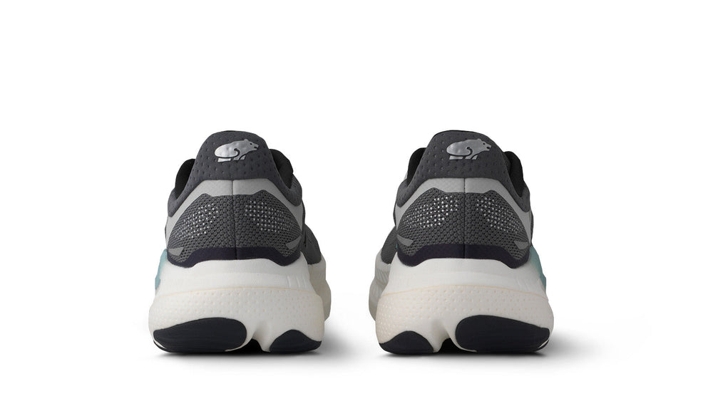 Women's Mestari Run 2.0 - Turbulence / Icy Morn | Karhu for sale