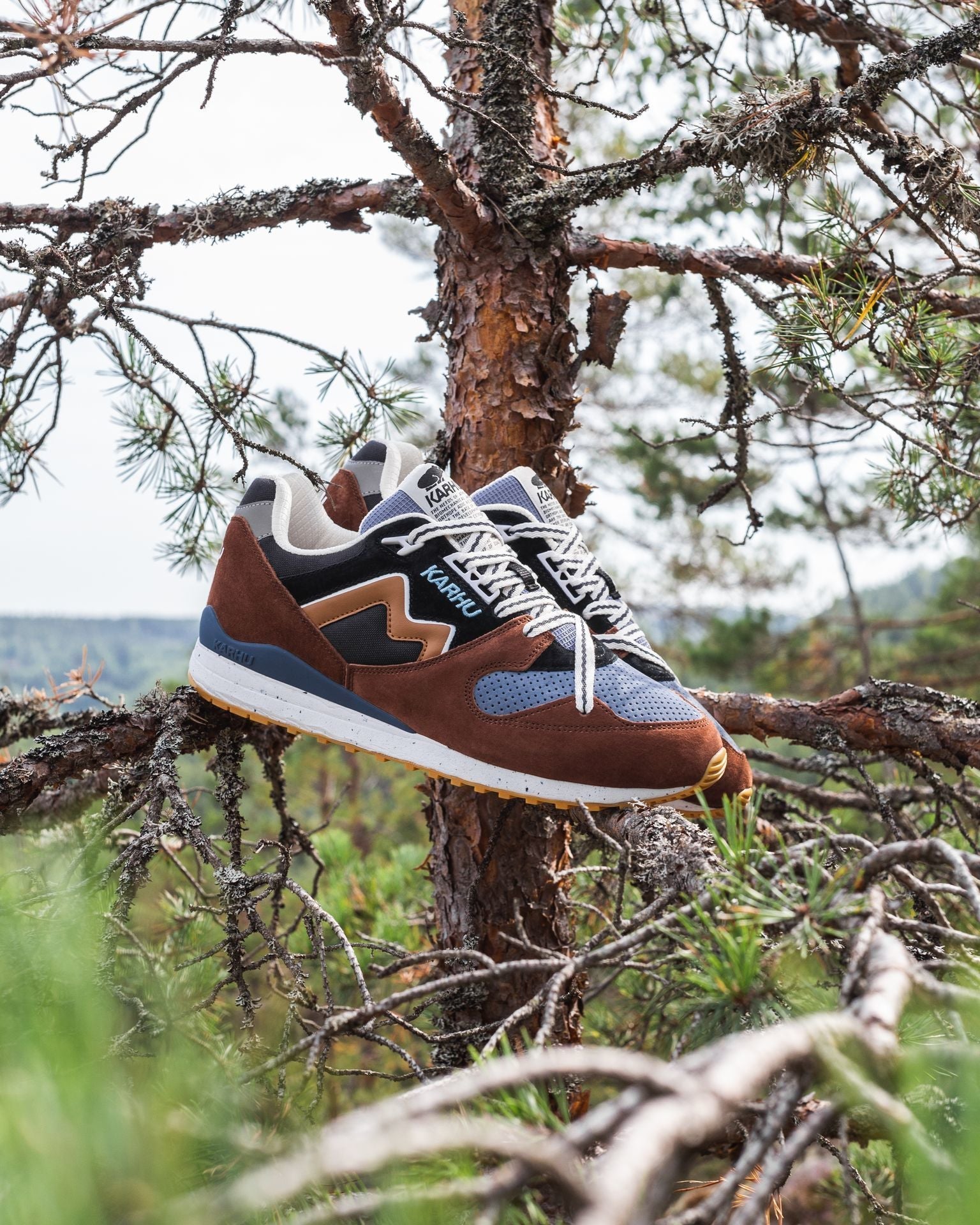 Synchron classic "trees of finland" pack - aztec / brown sugar | Karhu near me